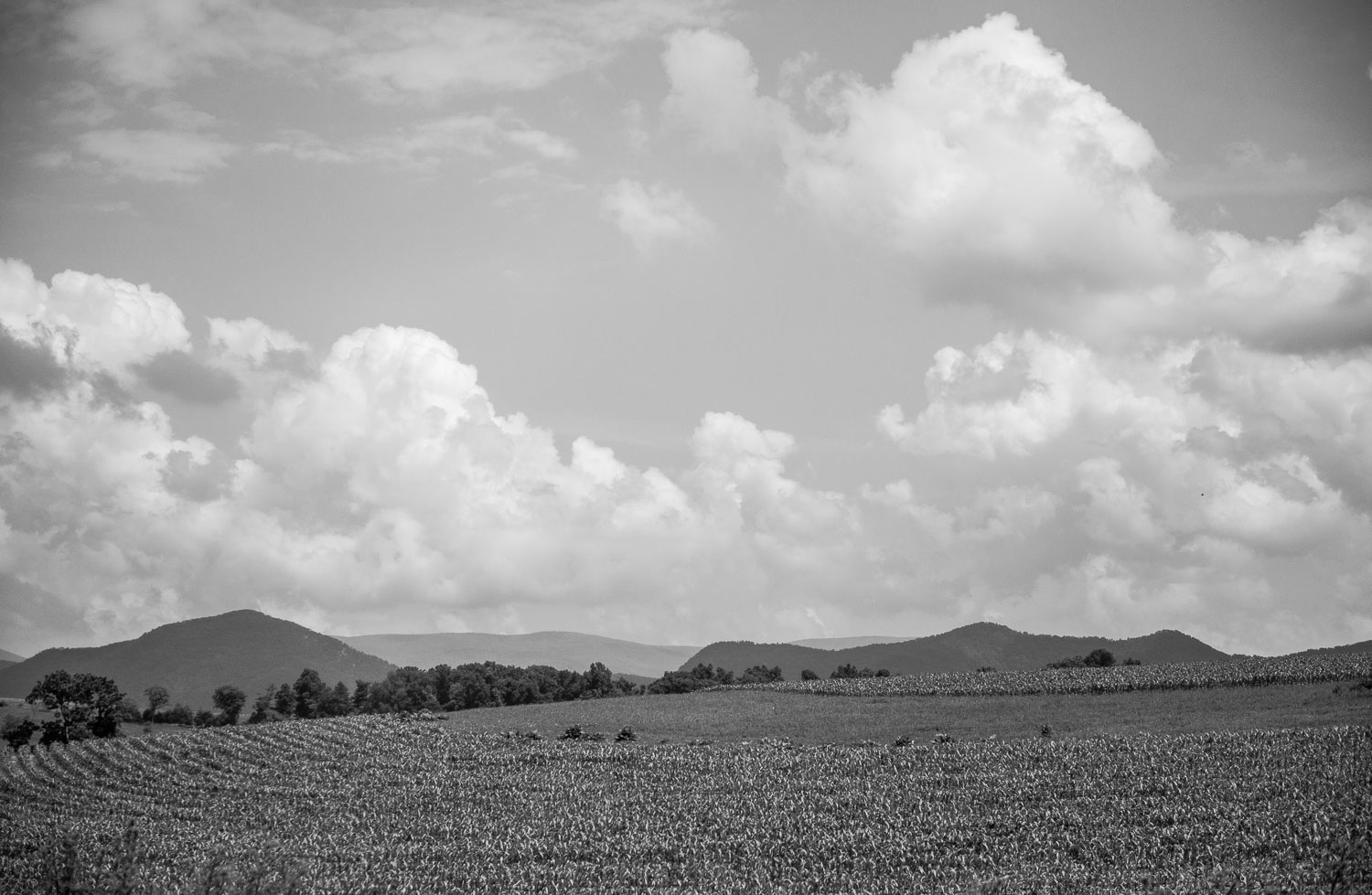 2013-06-09 Virginia-30.jpg