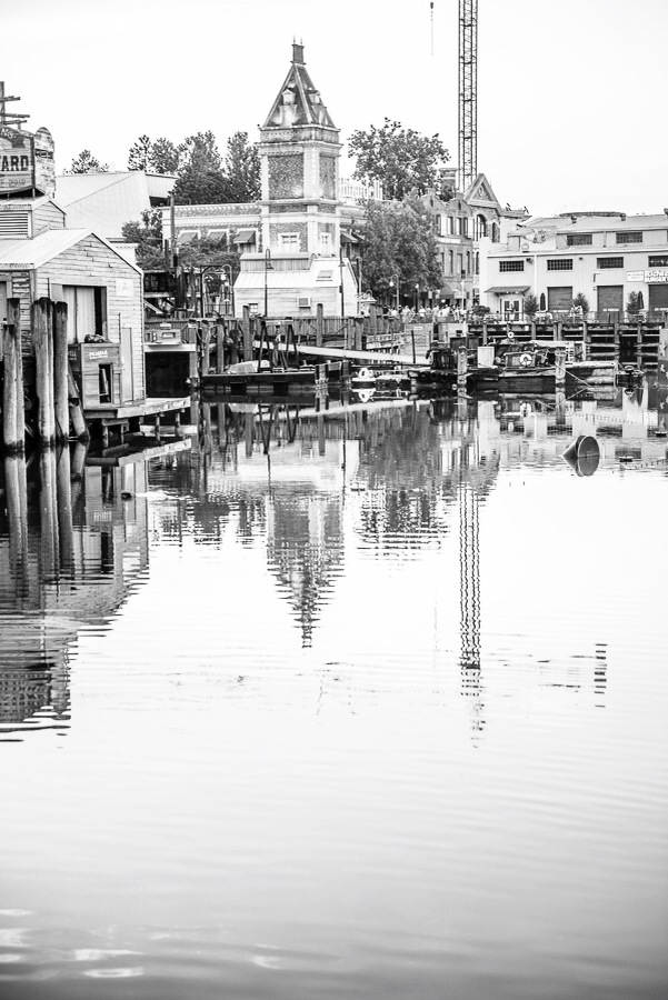 IPHONE 5 PICTURES (Sept 2014) 246.JPG