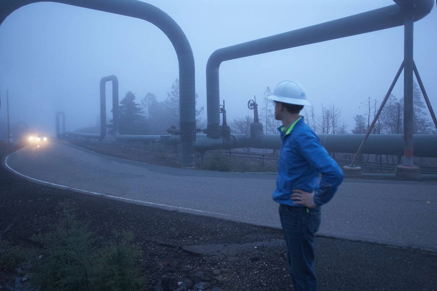 Early Morning Fog
