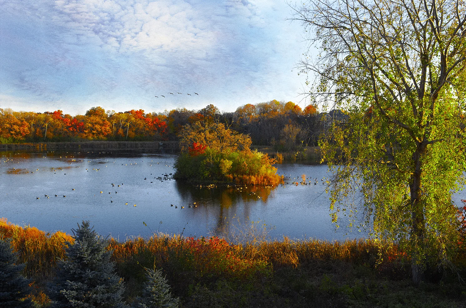 Autumn on the Lake