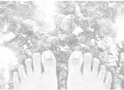 Leaders and Followers