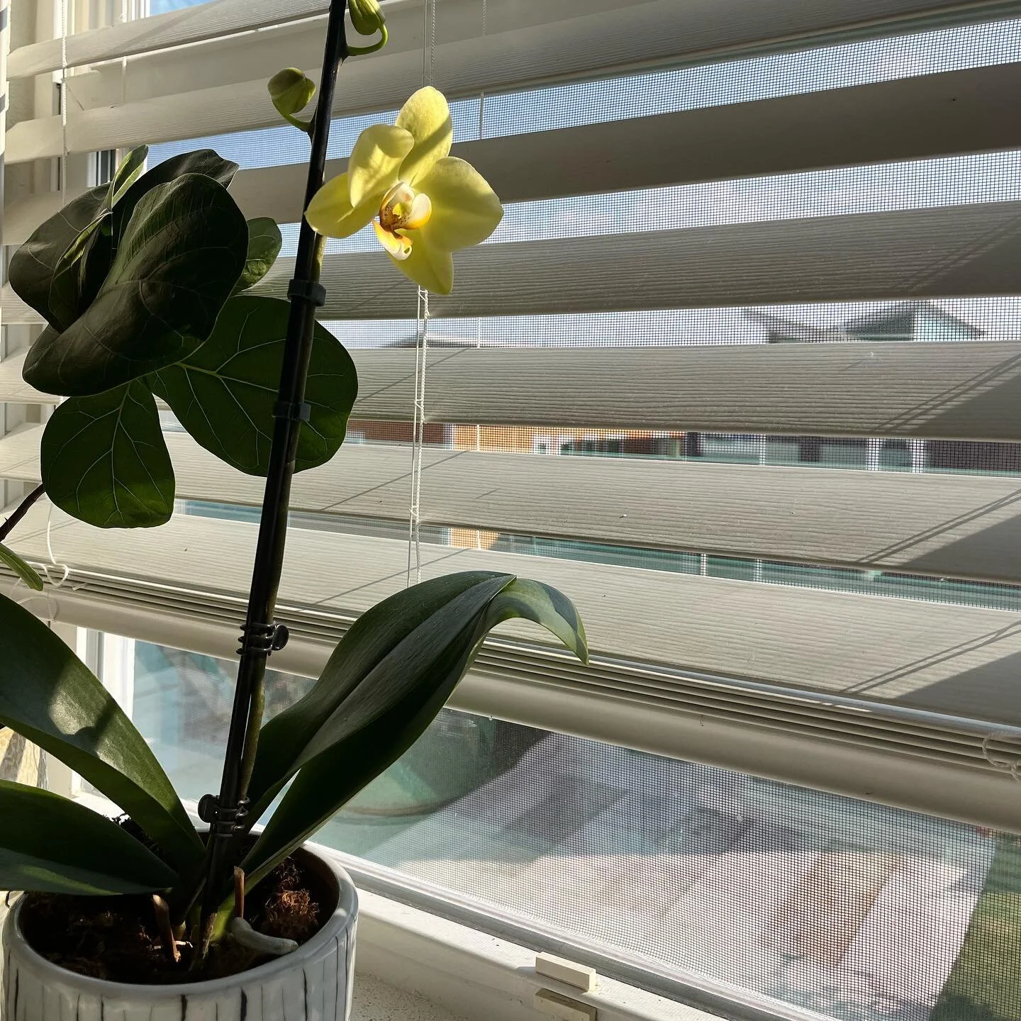 I did it, finally had one come back. 🙌✨😭