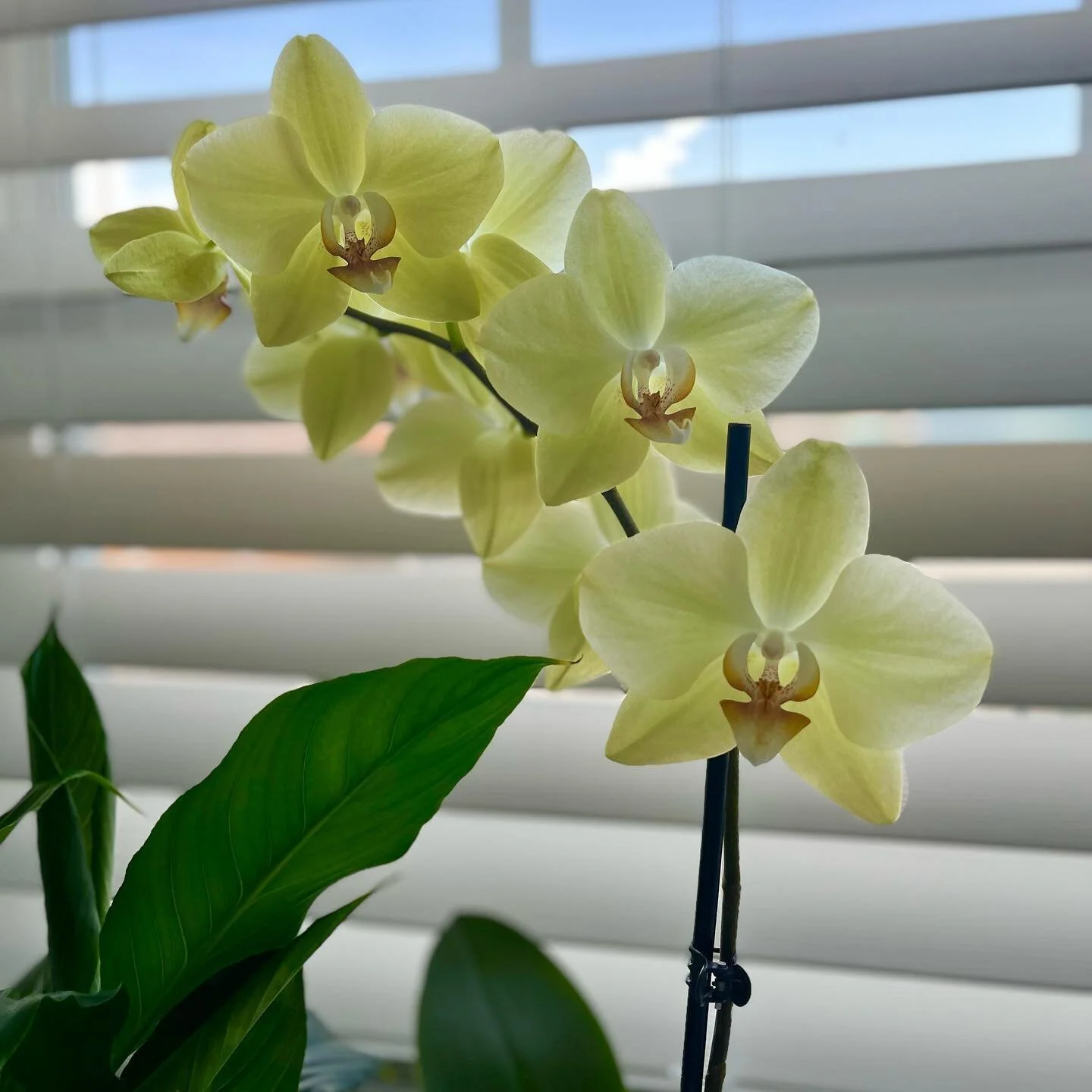 I call this success and progress!!