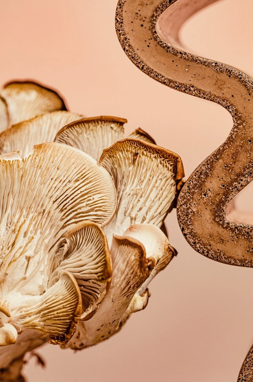 2022-12-16 18.18.15.JPG