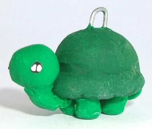 turtle.jpg