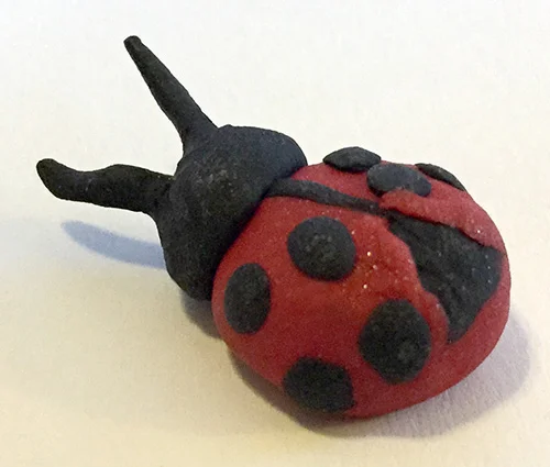 ladybug.jpg