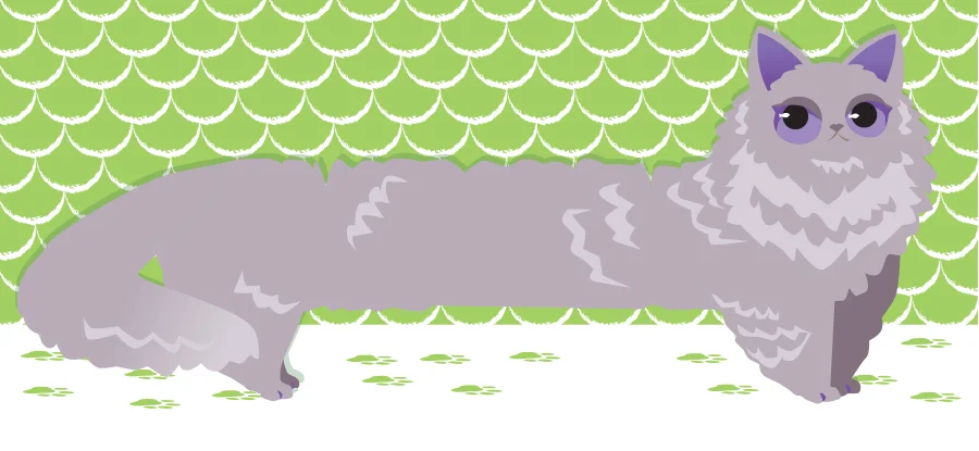 finishedcat-grey.jpg