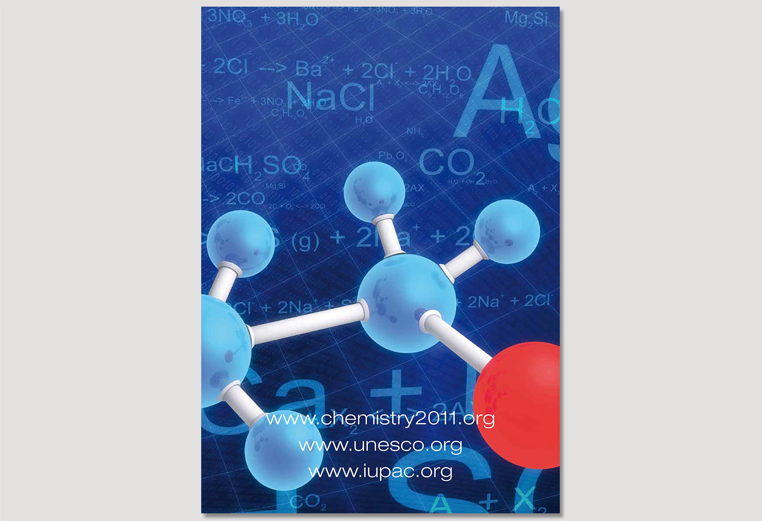 IYC back cover.jpg