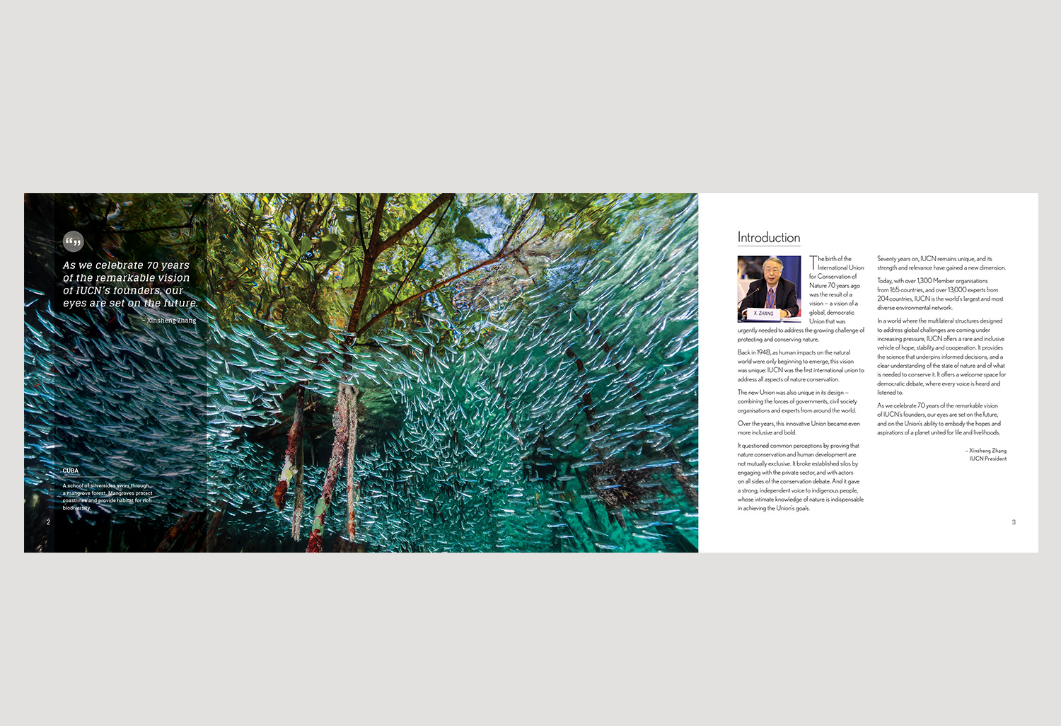 01-PICA-website-IUCN-ENG-P2-3.jpg