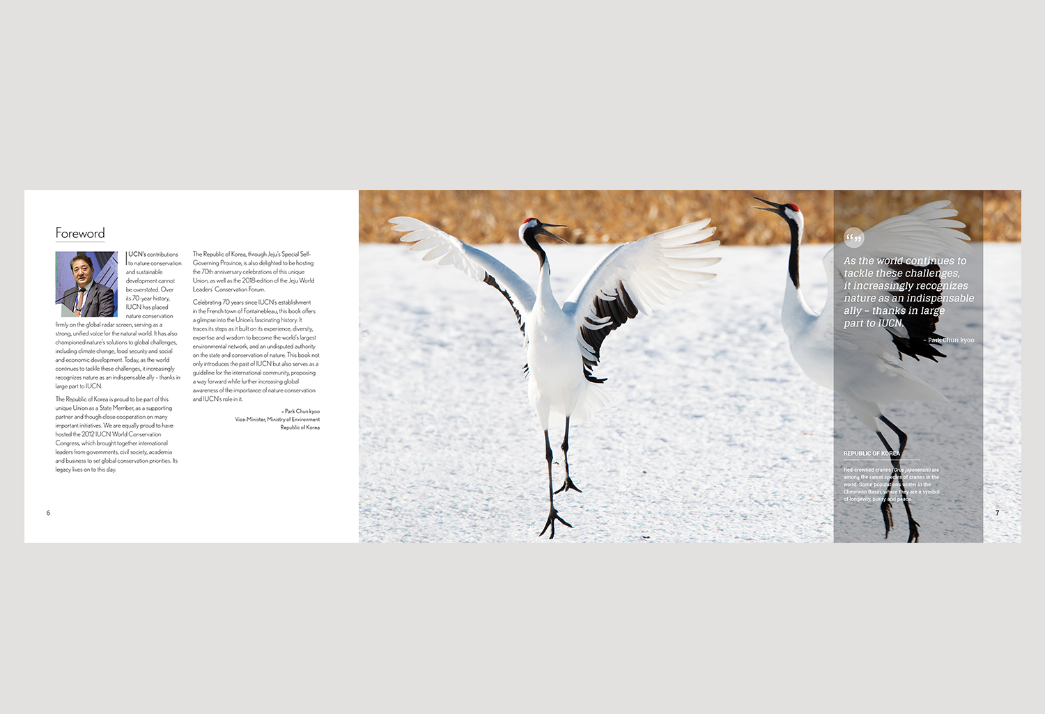 01-PICA-website-IUCN-ENG-P6-7.jpg