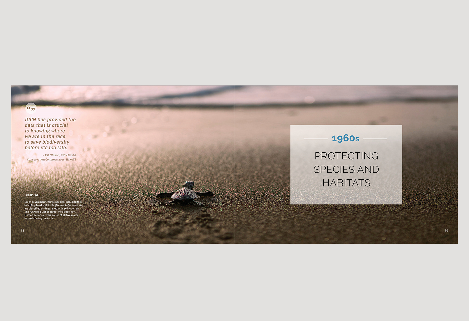 01-PICA-website-IUCN-ENG-18-19.jpg