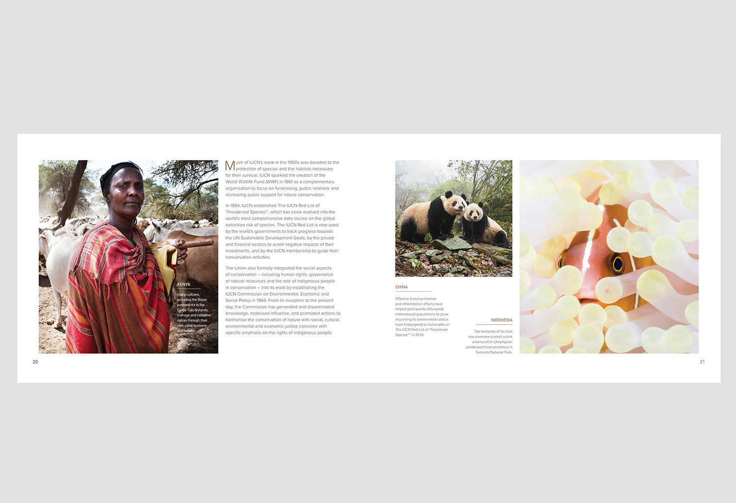 01-PICA-website-IUCN-ENG-P20-21.jpg