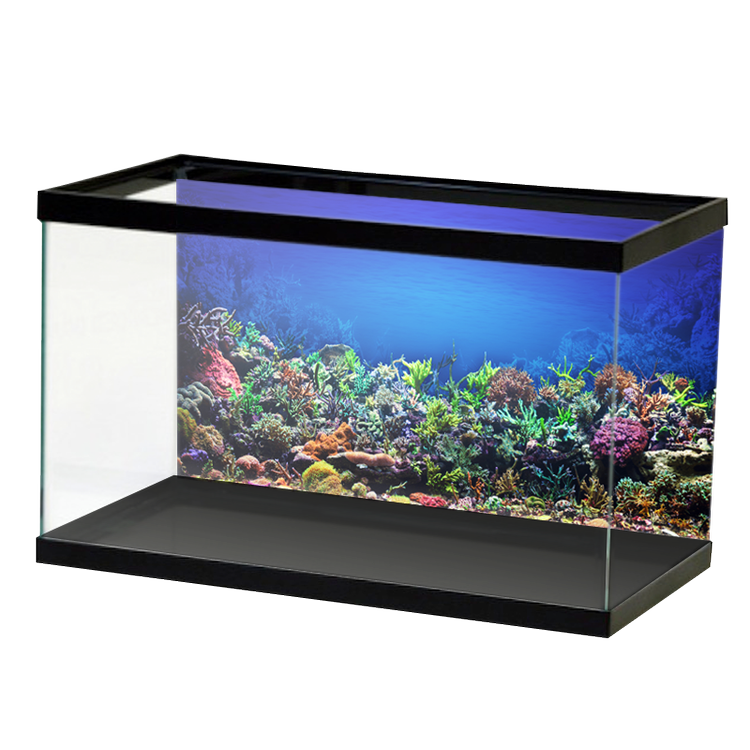 Dark Blue Reef and Water Surface Background — Aquarium Vinyl