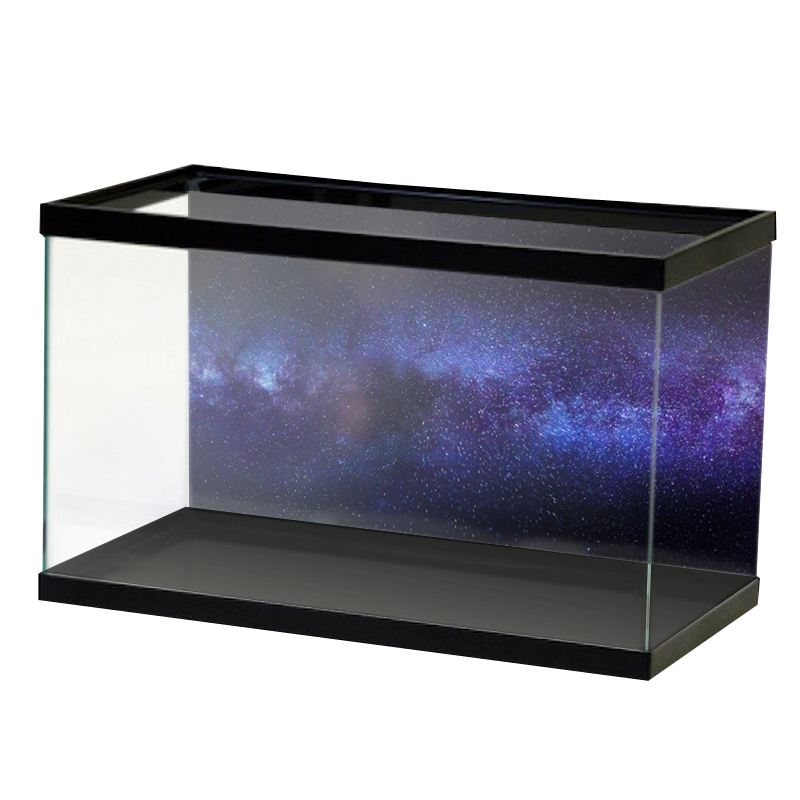 Specialty_PurpleCosmos.png