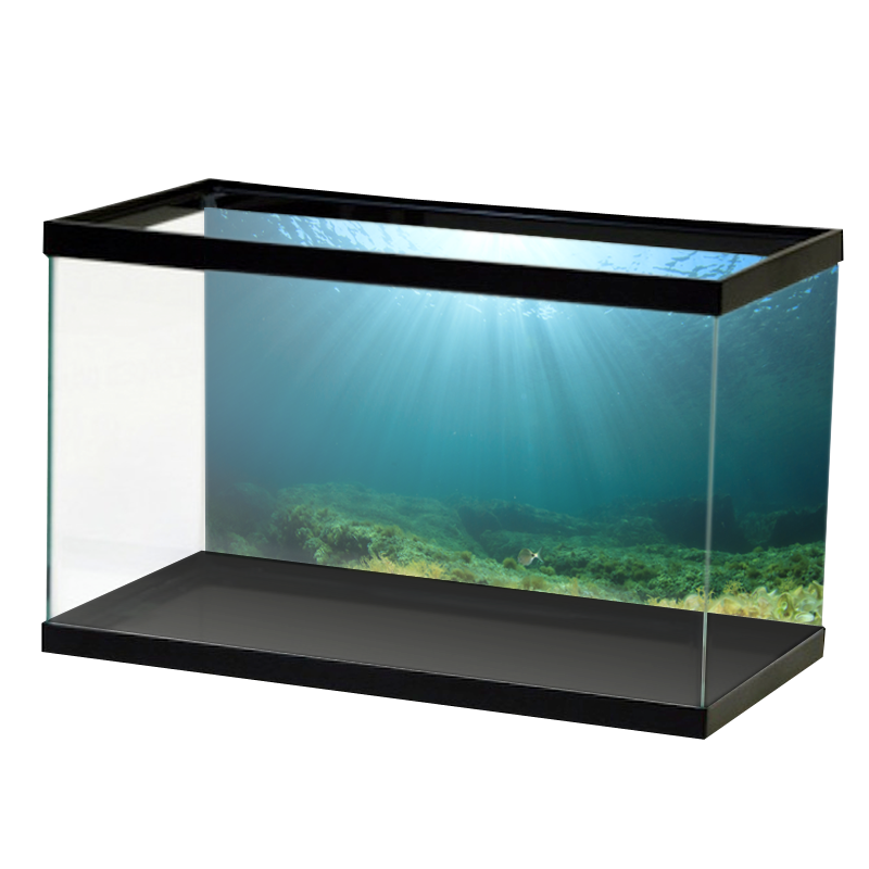 Yellow-Green-Open-Water.png