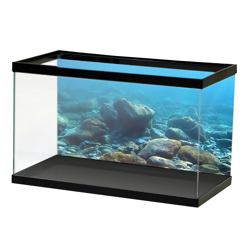 AquariumVinyl_SmoothRocksUnderOpenWater.png