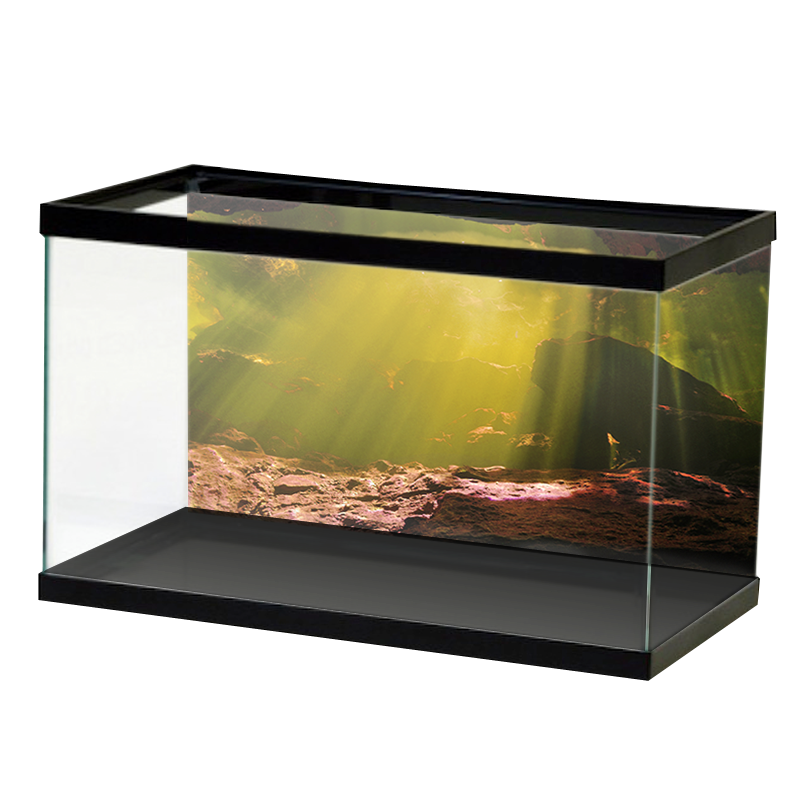 AquariumVinyl_UnderwaterBlackwaterCave.png