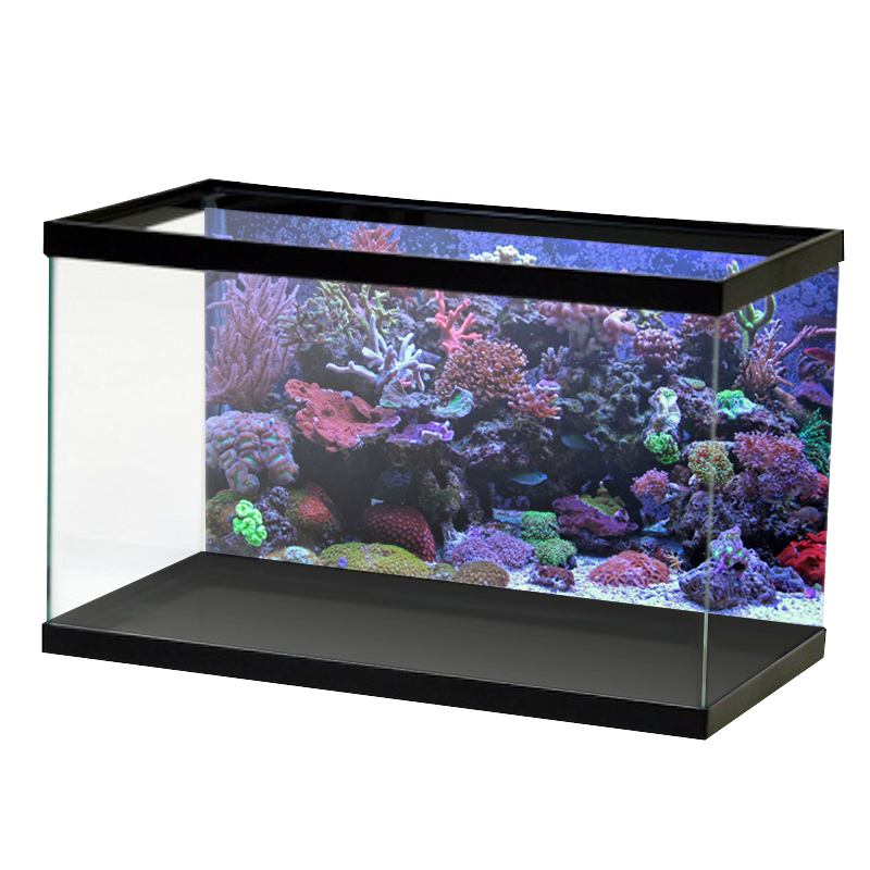 Aquarium Background Sunshine Underwater World Fish Tank Background STIKERS  