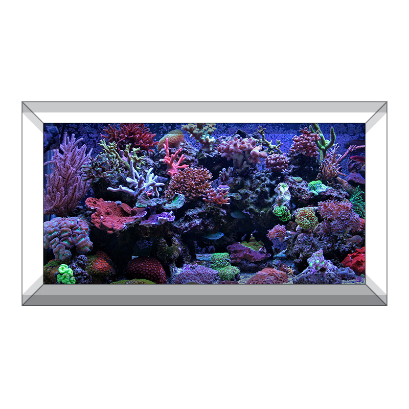 Reef Tank Background — Aquarium Vinyl