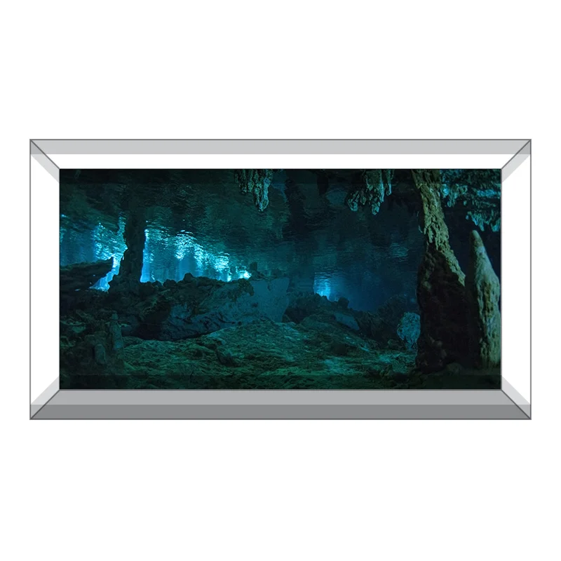 Aquarium Rock Background