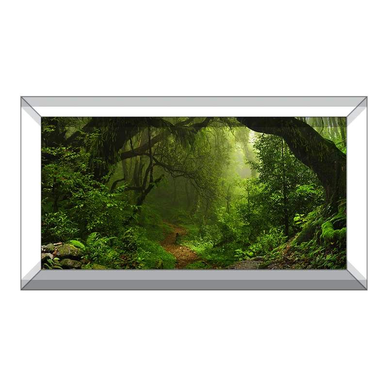 AquariumVinyl_Product_Vinyl_ForestTrail.jpg