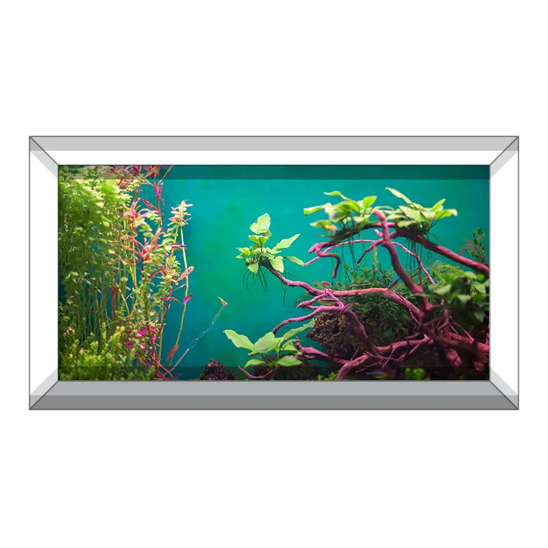 AquariumVinyl_Product_Vinyl_ColorfulPlants.jpg