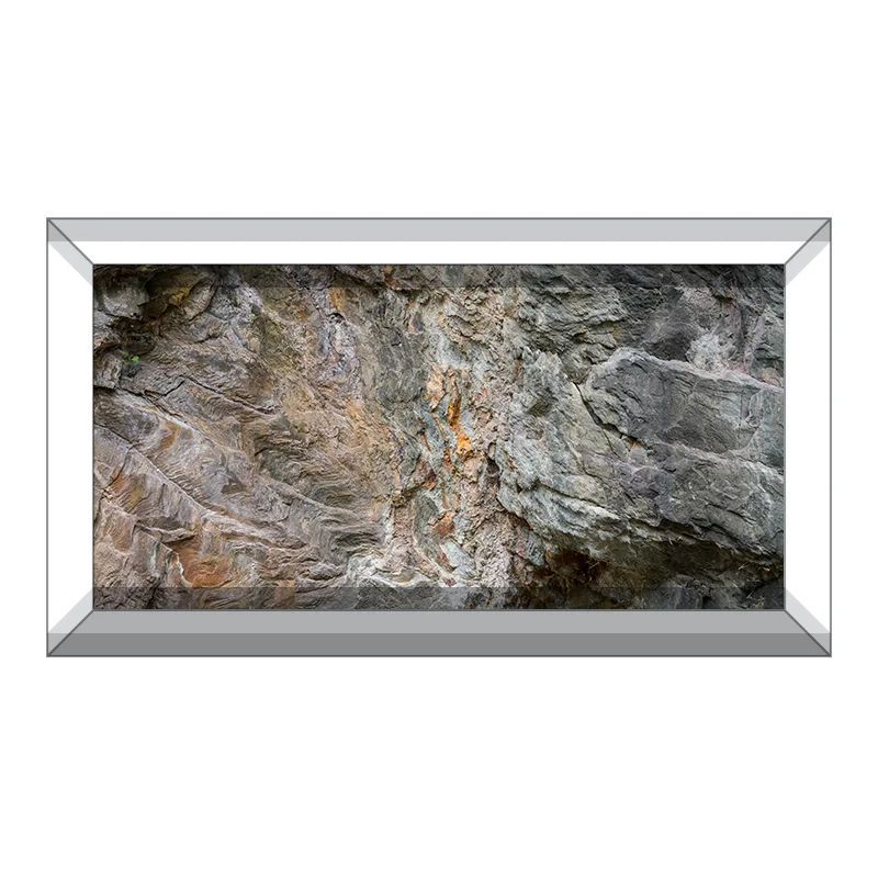 Stone Wall and Roots Background —