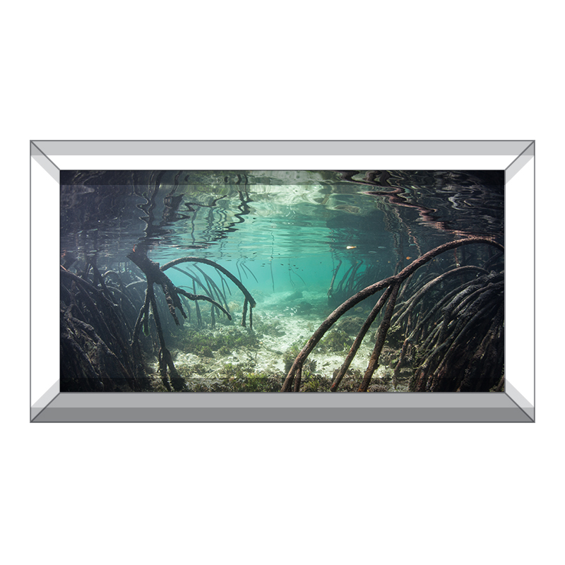 T&H XHome Aquarium Décor Backgrounds Spring Tree Branch Growing on a White Wall Pattern Fish Tank Background Aquarium Sticker Wallpaper Decoration Picture PVC Adhesive Poster 