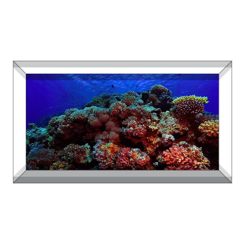 AquariumVinyl_Product_Vinyl_HardCoralReef.jpg