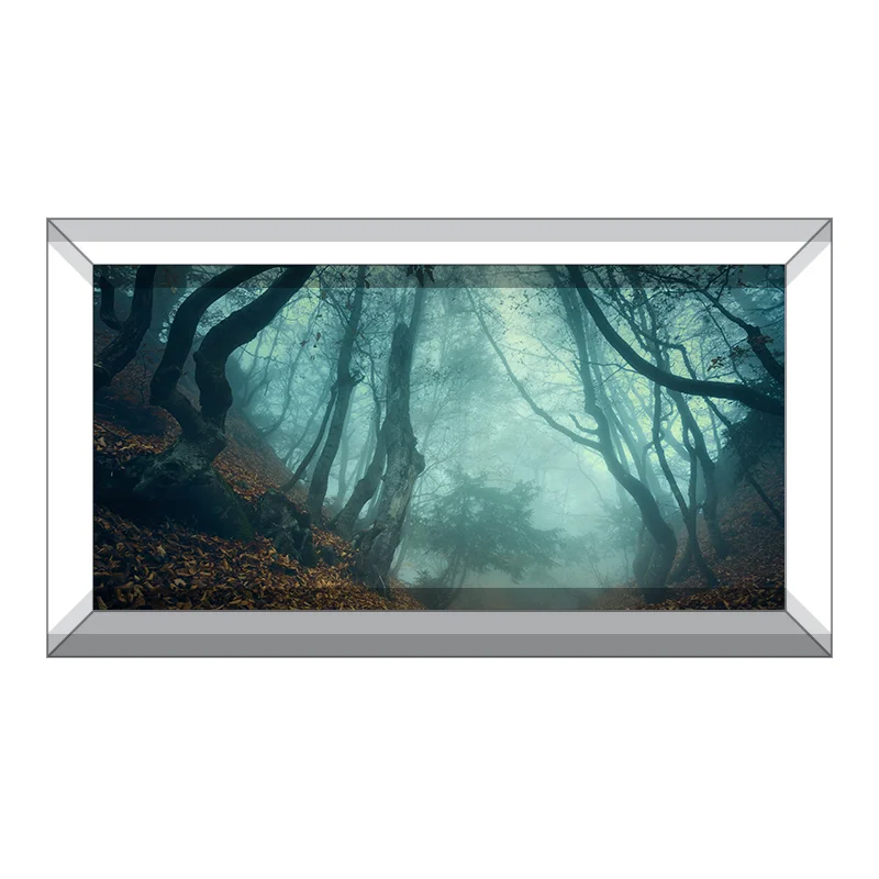 AquariumVinyl_Product_Vinyl_CreepyForest.jpg