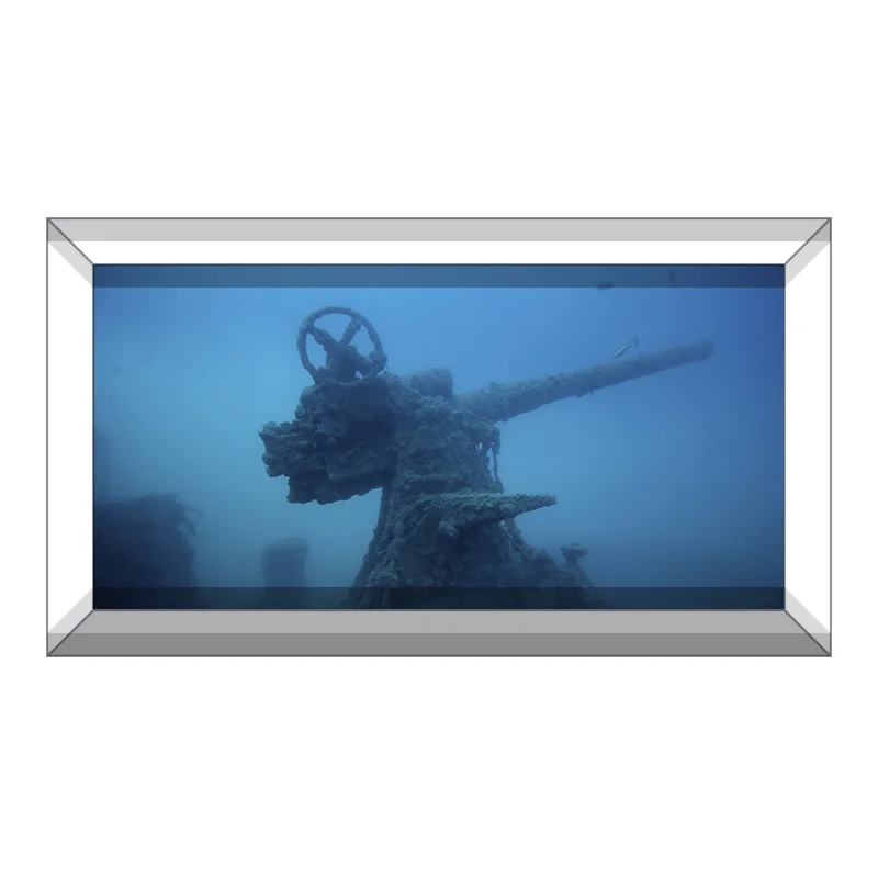 AquariumVinyl_Product_Vinyl_Cannon.jpg