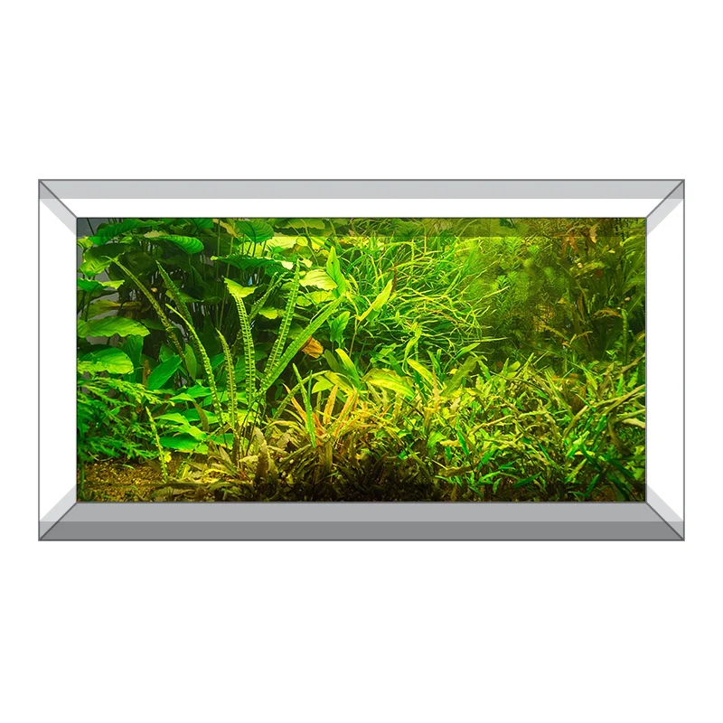 Freshwater Aquarium Wallpaper