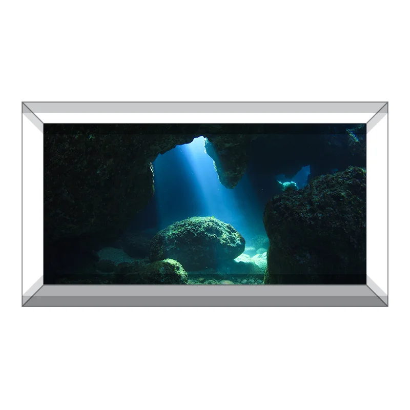freshwater tank backgrounds aquarium