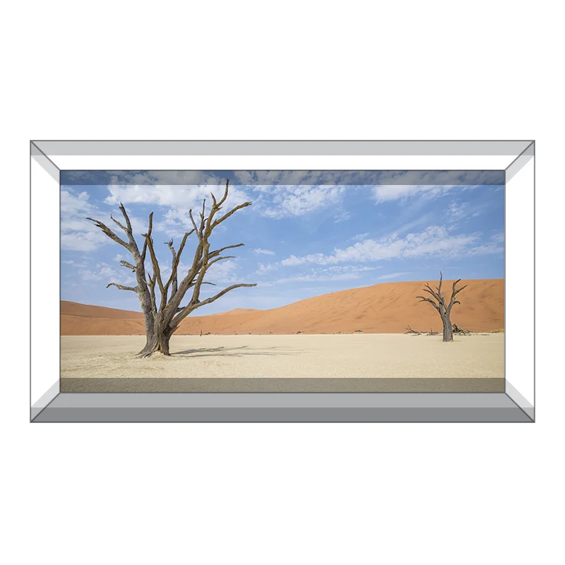 Orange Desert Reptile Terrarium Background - 48x24 Inch Dead Tree Vinyl Backdrop For Aquarium & Reptile Habitats