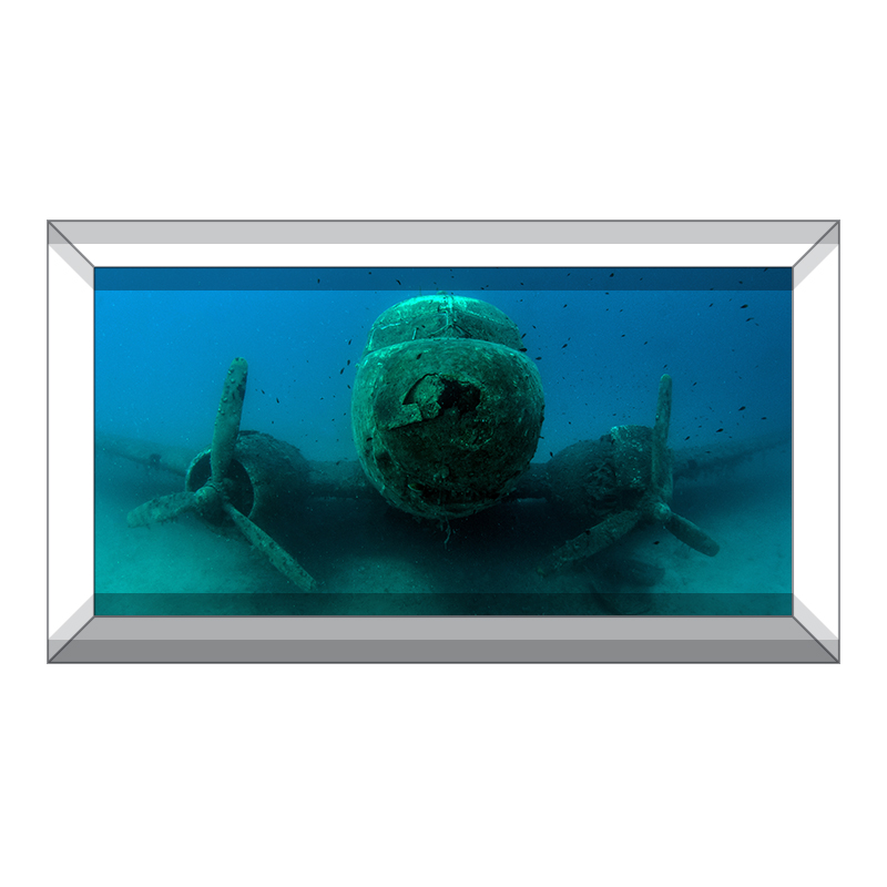 CSFOTO Aquarium Background Aquatic Plant Bubble Underwater Ocean Floor Fish Tank Background Durable Polyester Background 