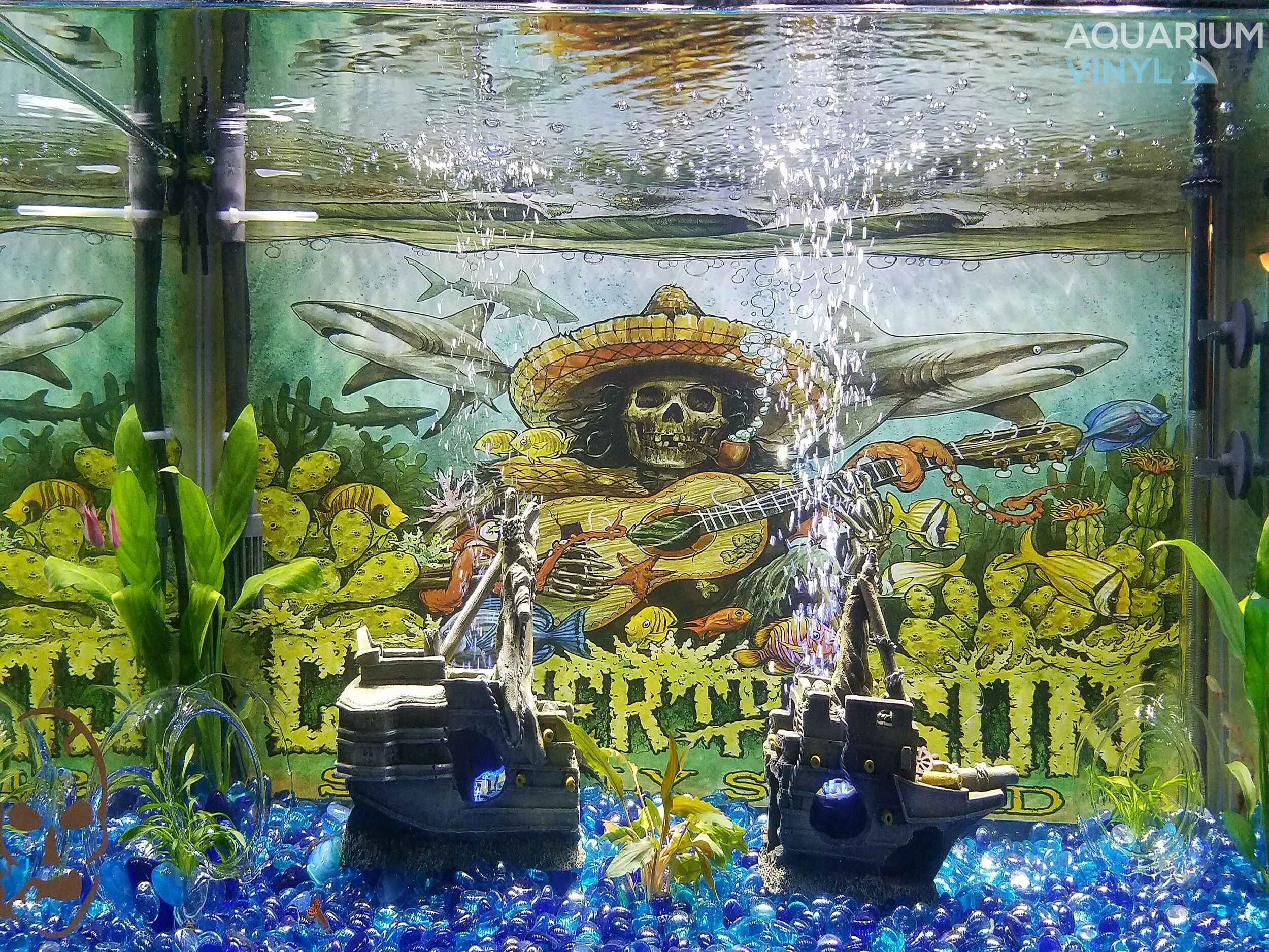 Aquarium Background Customer Gallery — Aquarium Vinyl