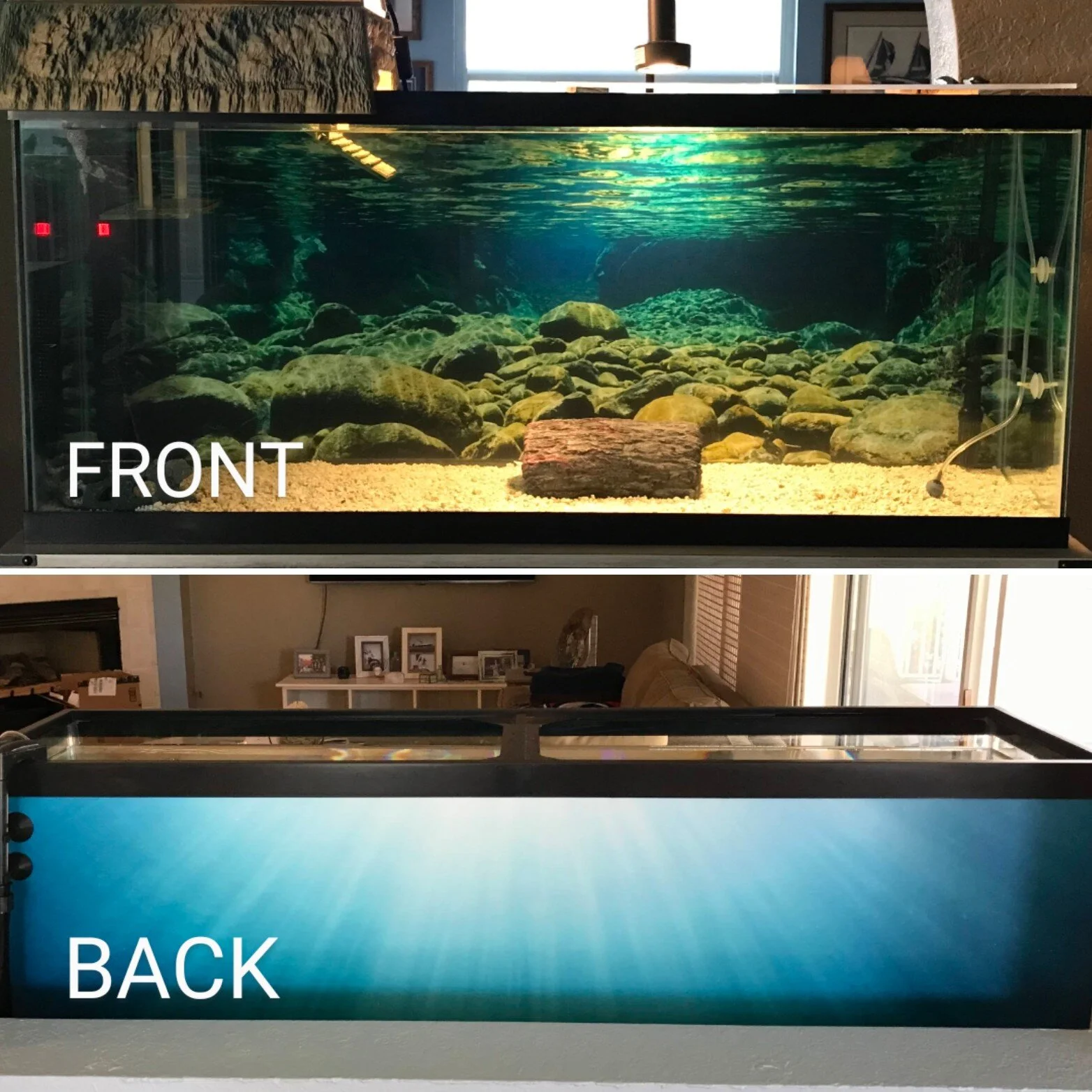 Full Blackout Background with Two Images — Aquarium Vinyl