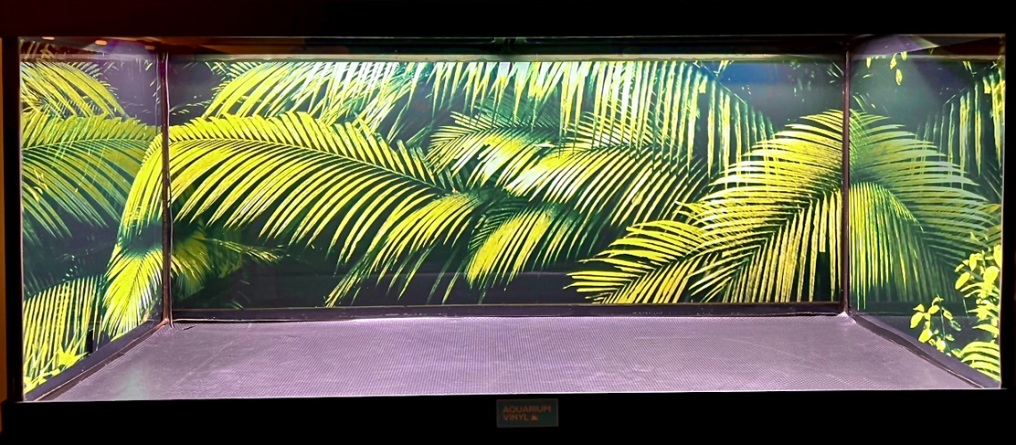 Custom Background