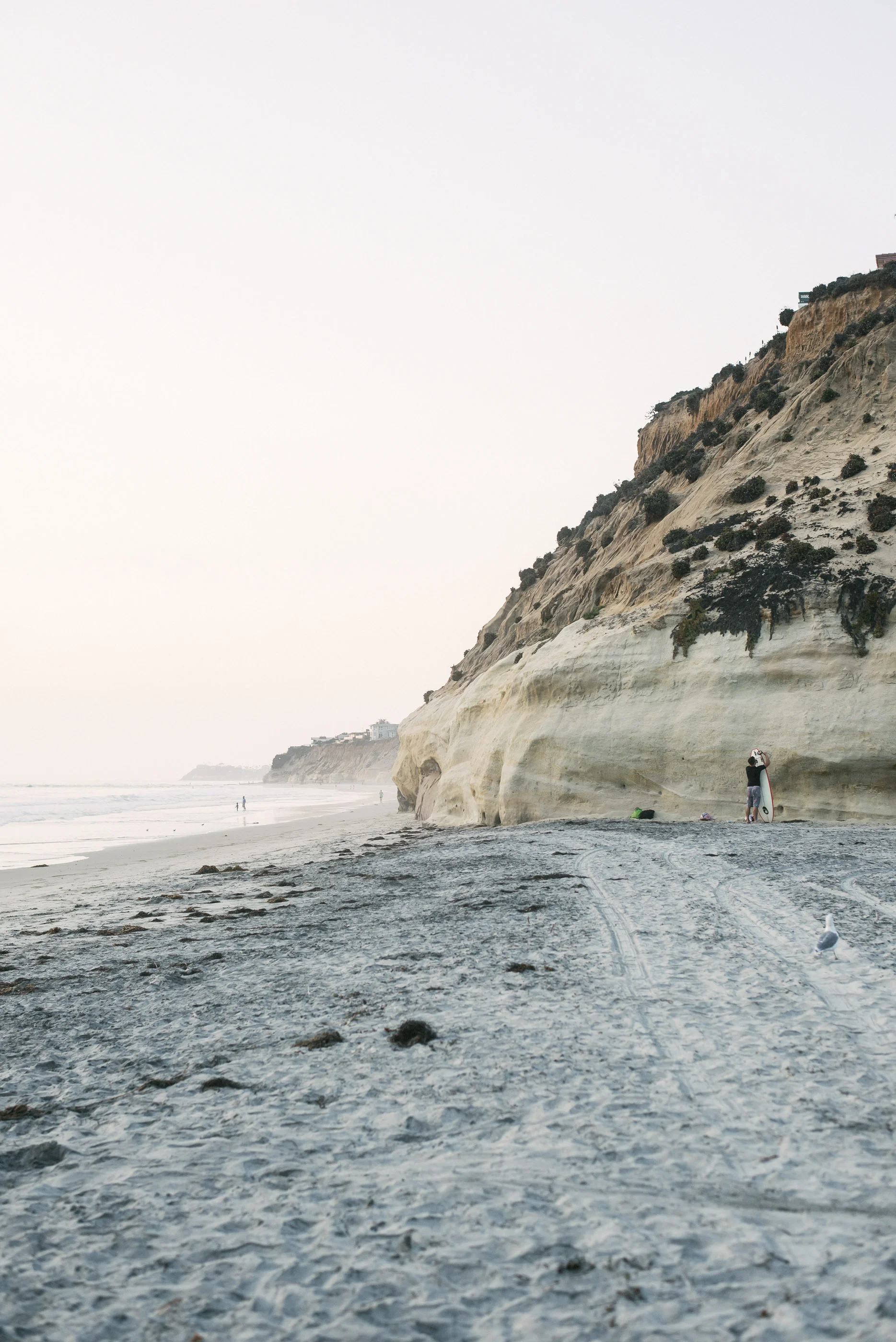 Solano Beach-1.jpg