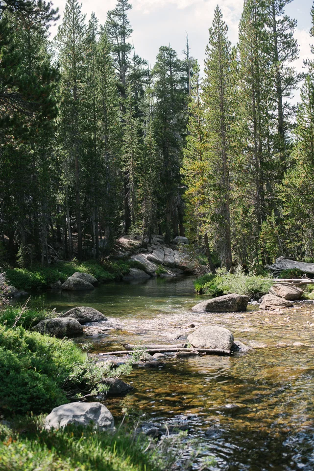 DSC_6240-Edit.jpg