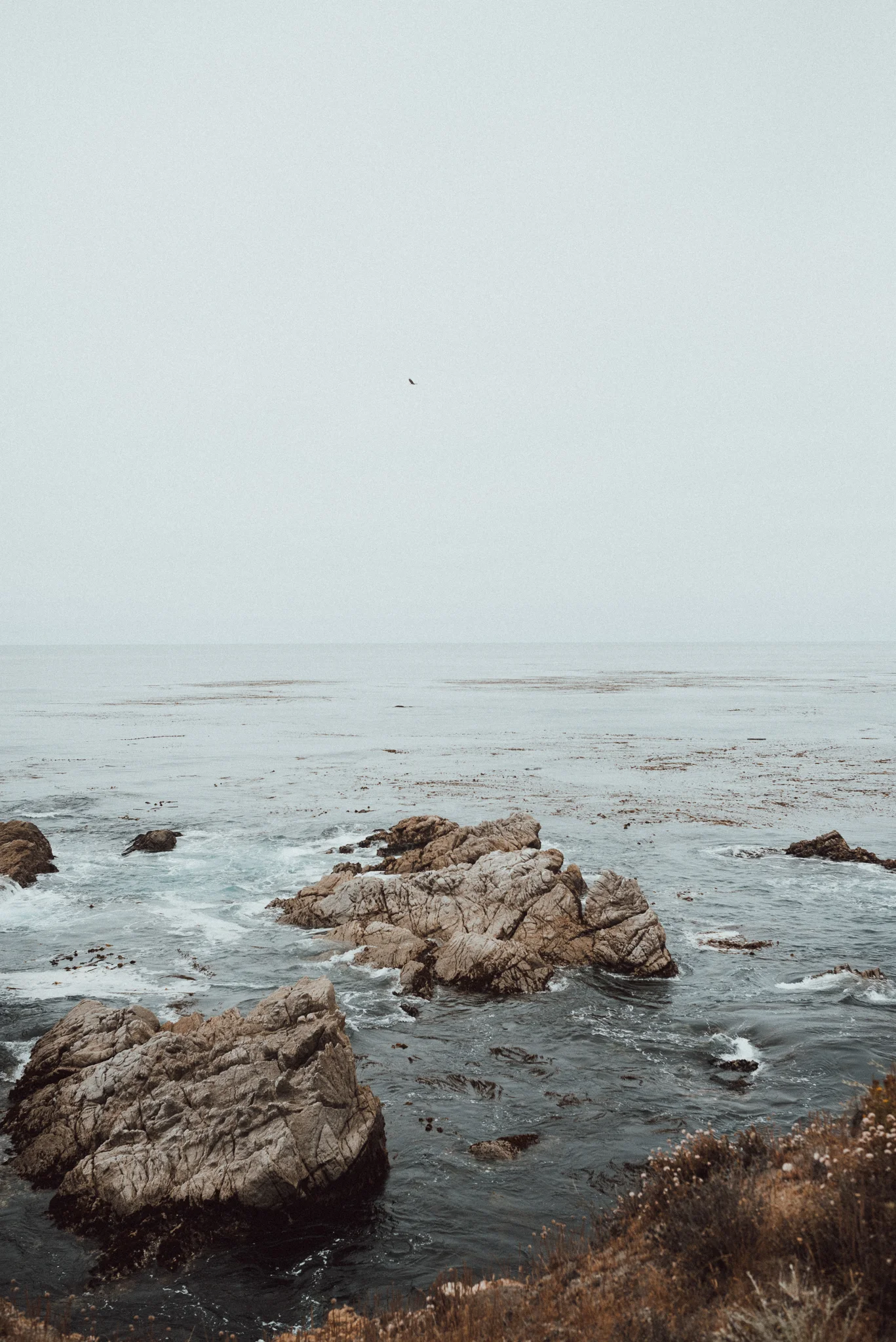 Big Sur-1271.jpg