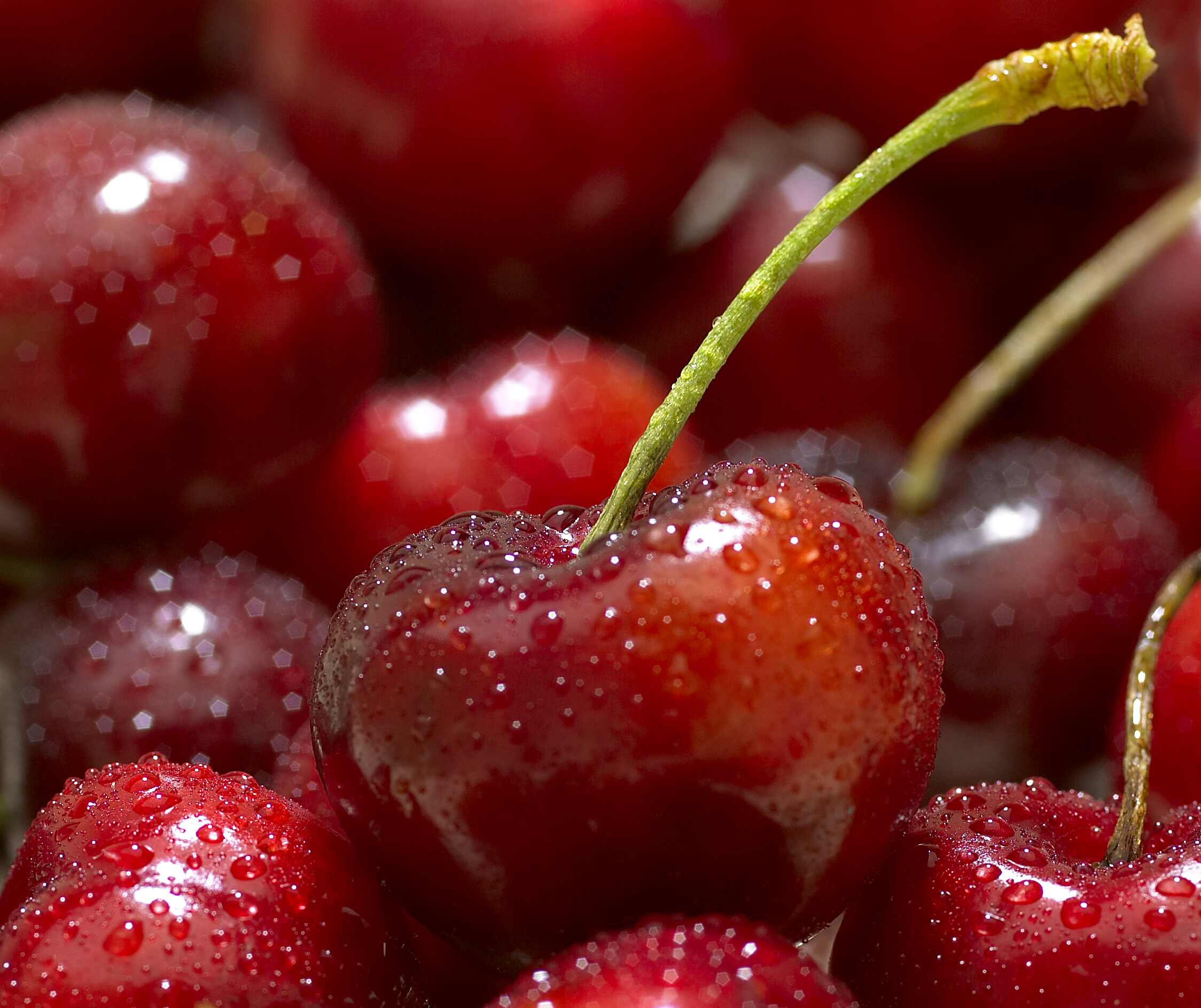 Cherry 2.jpg