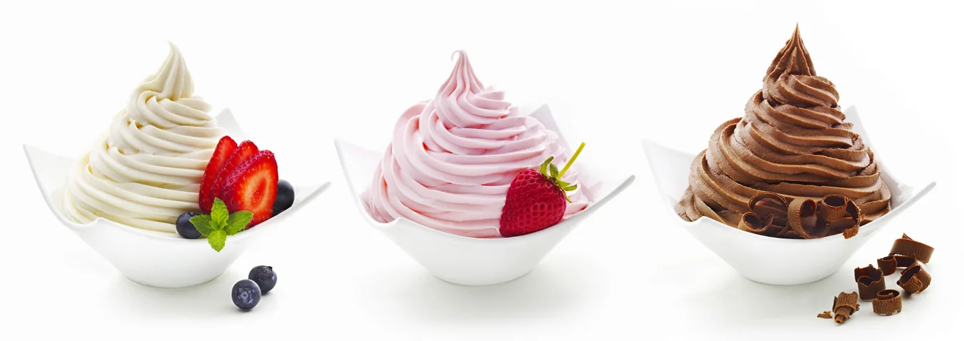 Mojo Yogurt.jpg