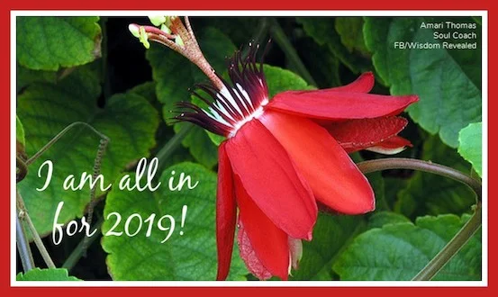 passion flower 2019 I am all in.jpg