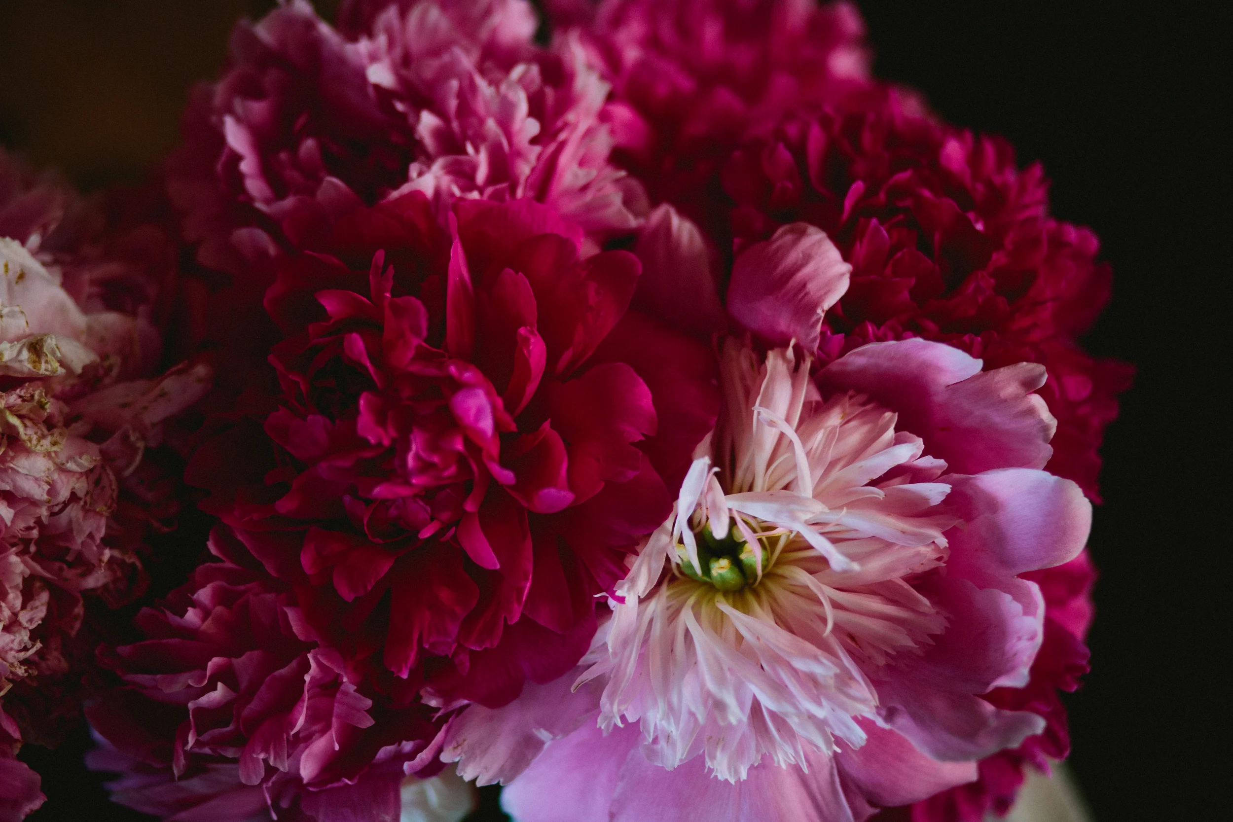 Rachel and Tyler wedding-52.jpg