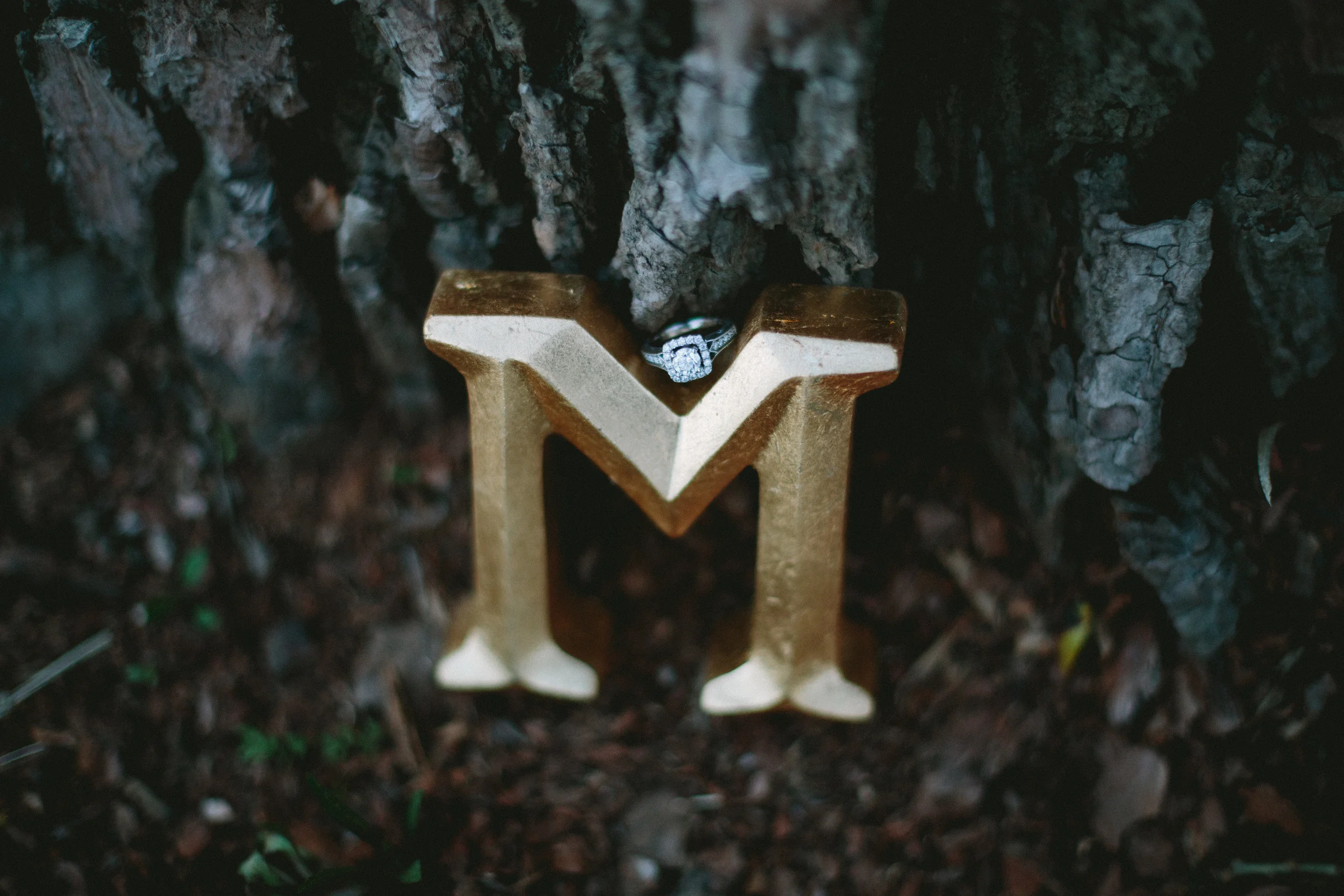 Anne and Tyler engagement-310.jpg
