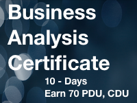 business+analyst+certificate+program.png