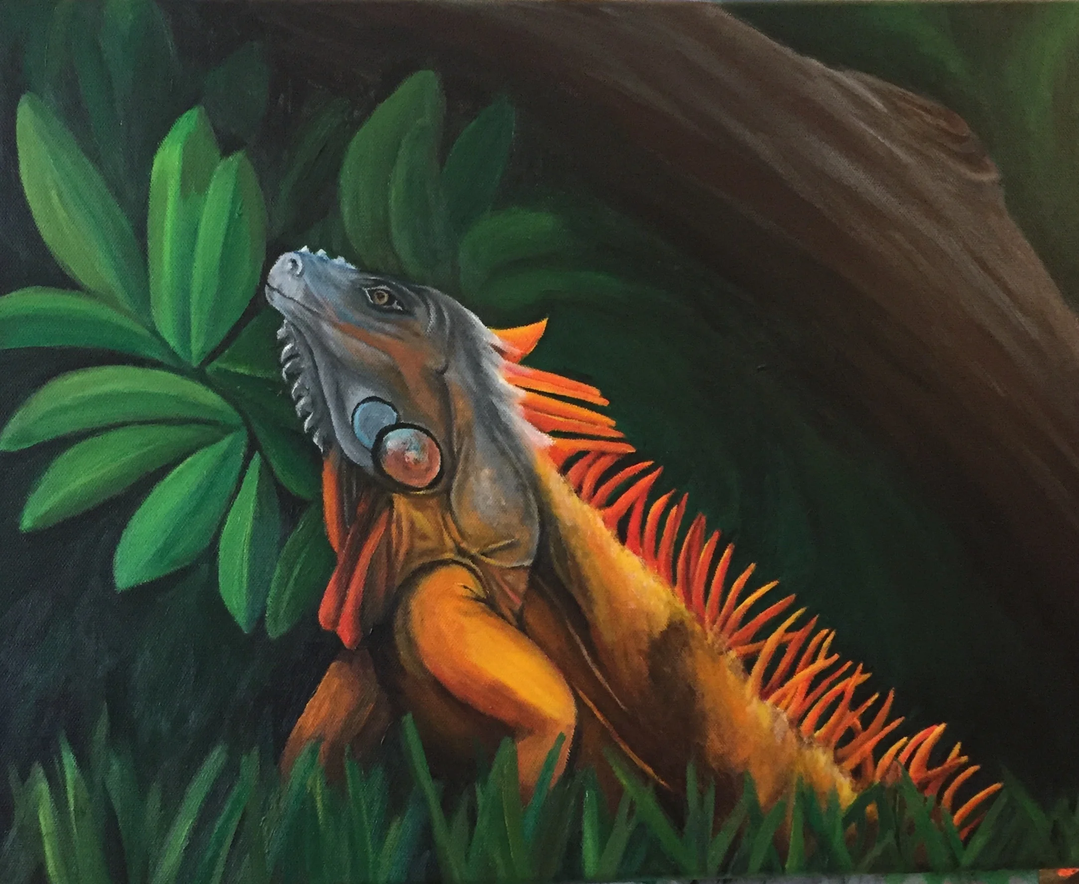 Iguana
