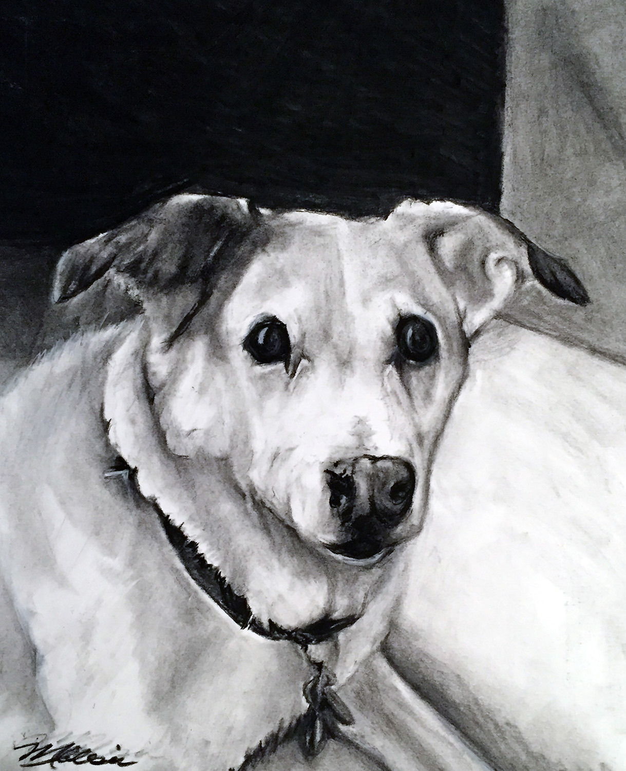 Chloe-portrait.jpg