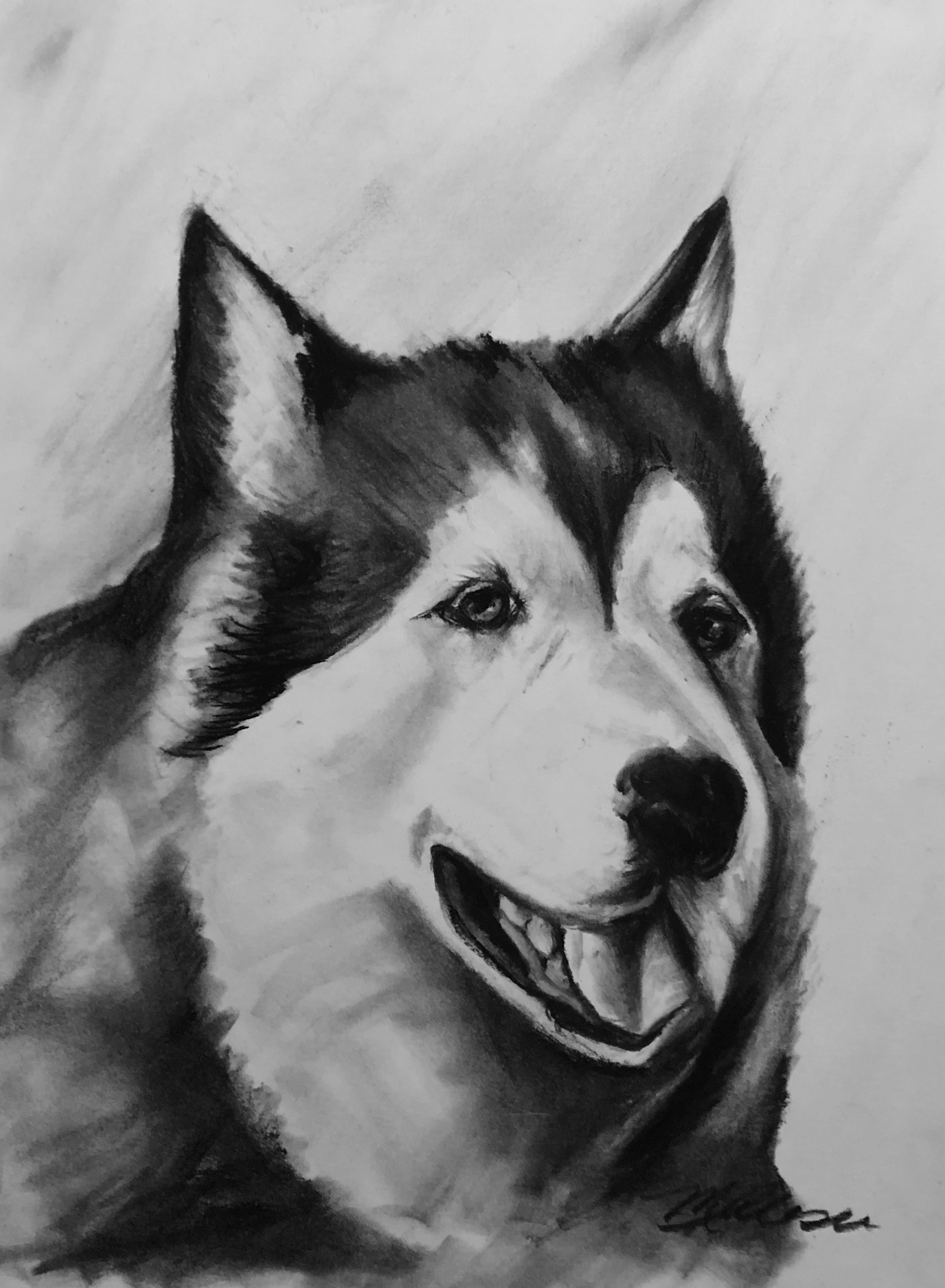 Hendricks-drawing.jpg